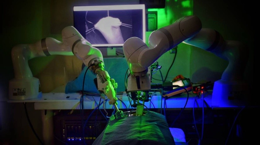 Este robot especial hizo cirugías en animales que es compleja.(Johns Hopkins)