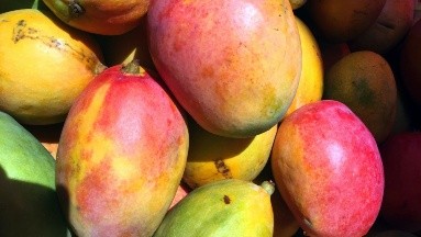 Cómo aprovechar la cáscara de mango para tu bienestar: Te compartimos estos usos