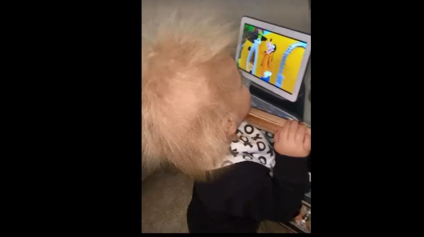 Este bebé se viralizó en redes por su cabello.(Capture.)