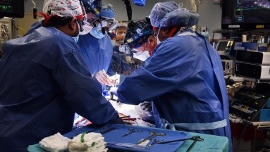 Trasplantes de órganos aumentaron un 13.6% en 2021 en el mundo: EU y España lideran