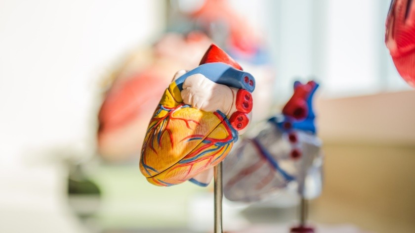 El estudio sugiere que la relación entre el colesterol alto y la enfermedad cardiaca como el infarto no sería tan fuerte como se pensaba.(Unsplash)