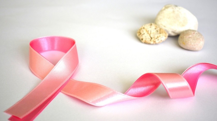 Ella asegura que su perro la ayudó a detectar el cáncer de mama(Pixabay.)