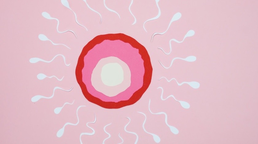 Los espermatozoides son sometidos a una prueba.(Pexels.)