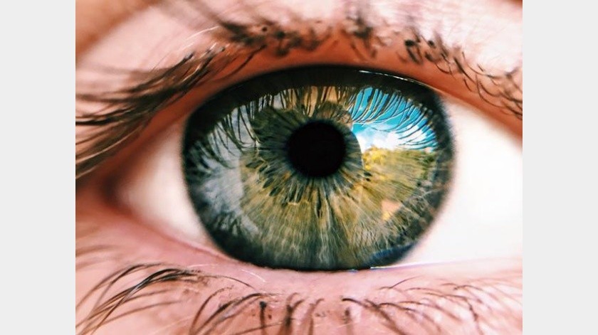 La retina está siendo analizada constantemente.(Pexels.)