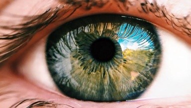 Esperan regenerar la retina y combatir el glaucoma con células madre
