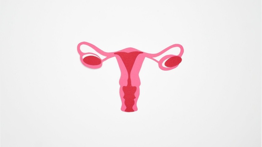 La ovulación es un proceso normal de las mujeres.(Pexels)