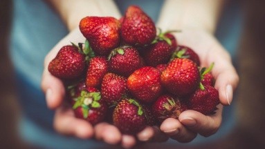 ¿Te gustan las fresas? Investigación revela que ayudan a prevenir el Alzheimer