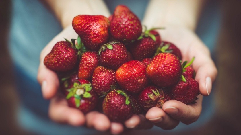 Las fresas pueden jugar un papel fundamental en enfermedades como el Alzeimer.(PIXABAY)