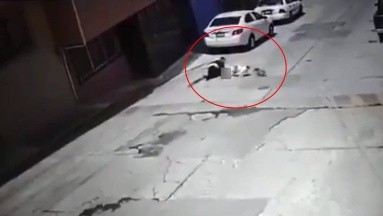 Perro ataca a adulta mayor en Puebla y los dueños no se responsabilizan