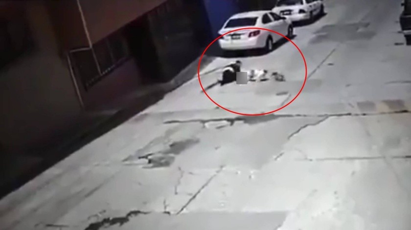 El hecho del ataque del perro fue captado en video.(Captura de pantalla)