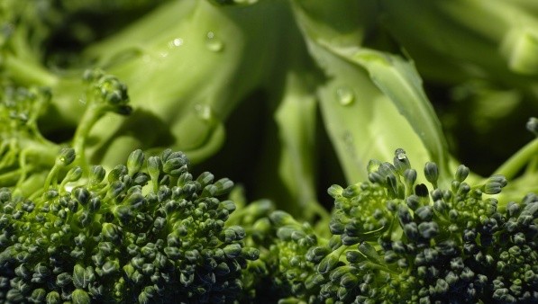 Especialistas han destacado los beneficios del brócoli para la salud. 