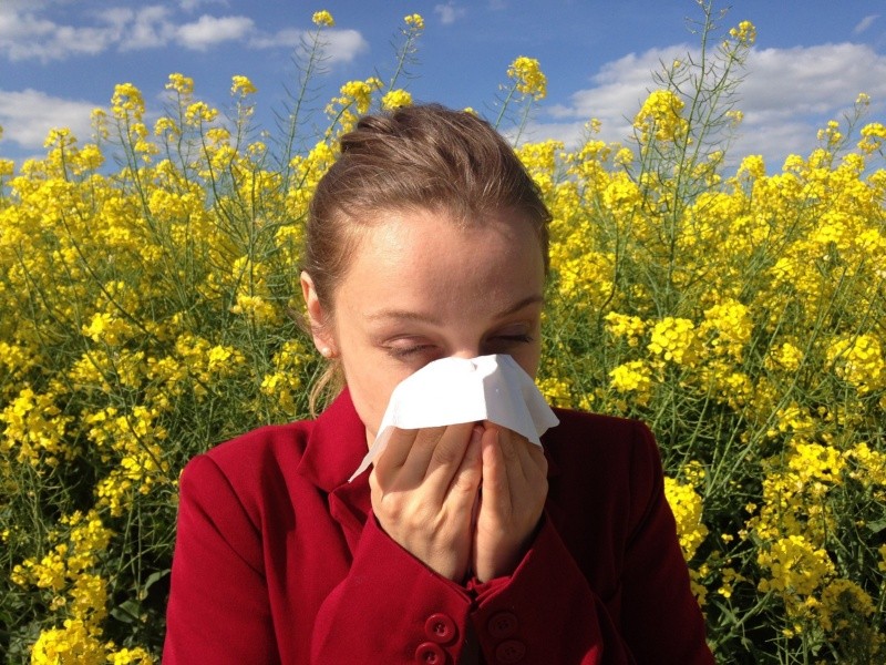 Las alergias estacionales pueden controlarse con varios medicamentos y algunos inhaladores que frenan la congestión. Achivo GH.  