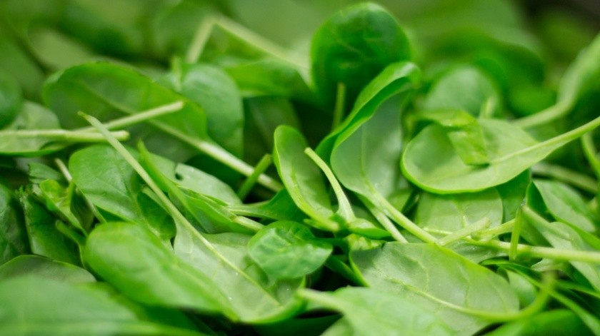 Este vegetal de hoja verde se recomienda para las personas con síntomas de reflujo o gastritis.(Pixabay)
