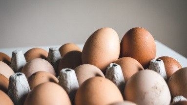 ¿Los huevos se deberían de guardar dentro o fuera del refrigerador?