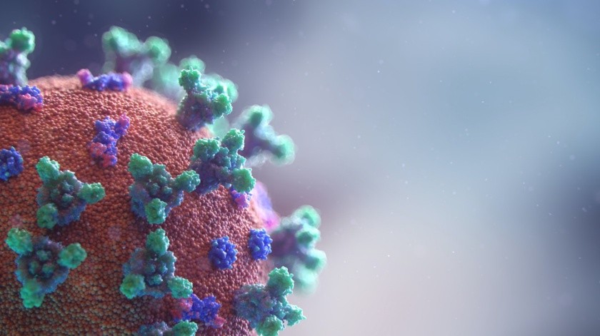 Un virus que podría propagarse con facilidad a los humanos(UNSPLASH)