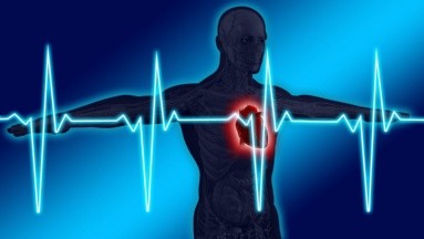 ¿Por qué se aceleran las palpitaciones del corazón?