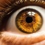 Presión arterial alta: ¿Cómo afecta a los ojos?