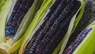 ¿Qué nutrimentos y beneficios aporta a la salud el maíz azul?
