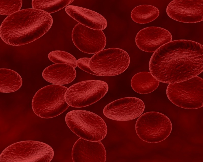 Los niveles de hemoglobina  pueden ser diferentes para hombres y mujeres. Archivo GH. 