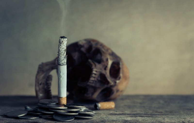 El fumar daña casi cada órgano del cuerpo y sistema de órganos del cuerpo y disminuye la salud general de la persona. 