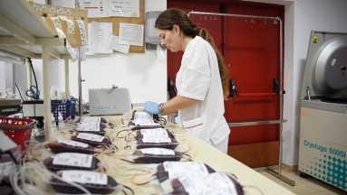 Reino Unido: Dos personas reciben transfusión de sangre cultivada en un laboratorio