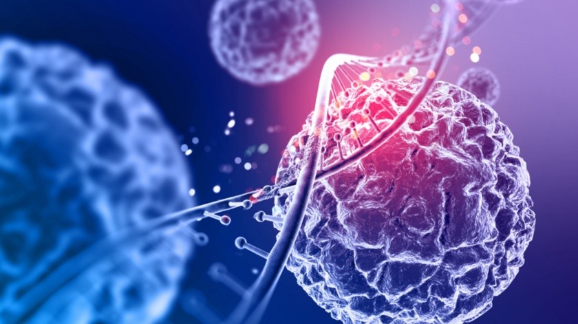 Investigadores descubrieron las células malignas del cáncer que provocan muertes.(Freepik)