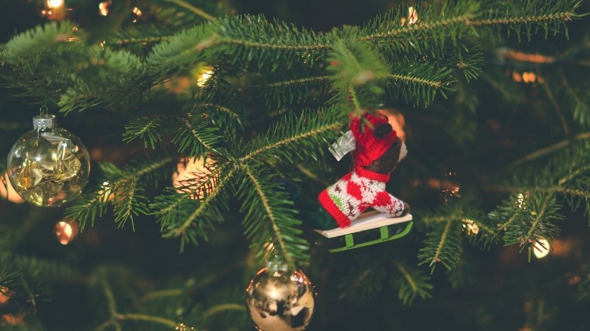 El pino de navidad es muy comprado en las fechas decembrinas.(Pexels.)