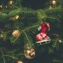 Pino de Navidad: Consejos para mantenerlo fresco durante la época navideña