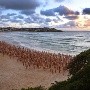 Contra el cáncer de piel, más de 2 mil personas se desnudan en playa australiana