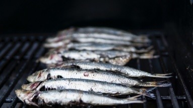 ¿Las sardinas en latas son recomendables?