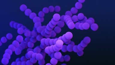 OMS revela aumento de la resistencia a los antibióticos en infecciones bacterianas