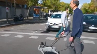 Para apoyar a invidentes o personas con discapacidad, desarrollan robot en forma de perro