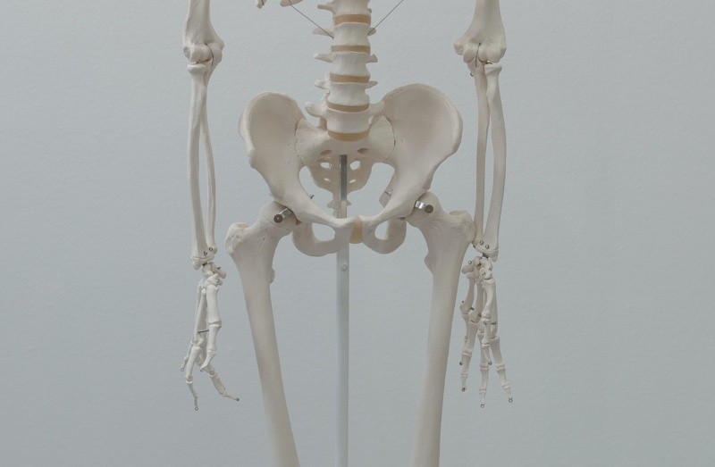  Si pudiéramos observar el esqueleto percibiriamos que todos tenemos una hendidura.