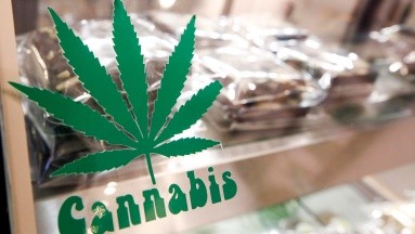 Cannabis comestible: Legalización aumenta la intoxicación infantil en EU