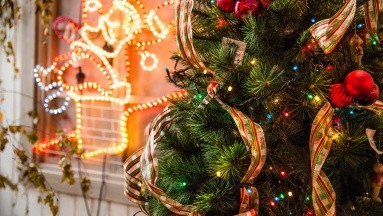 ¿Cómo reciclar el árbol de Navidad después de las fiestas?