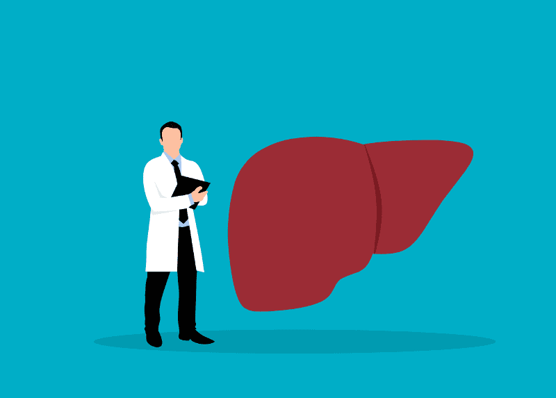  El hígado es un órgano muy importante para el organismo, por lo que se debe cuidar su adecuado funcionamiento con una dieta  saludable y equilibrada. Foto: Pixabay