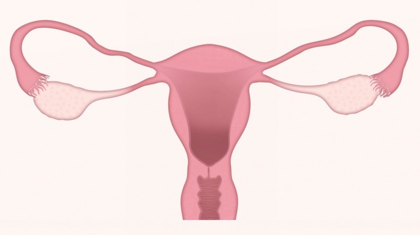 Detectar cáncer de endometrio en segundos(PIXABAY)