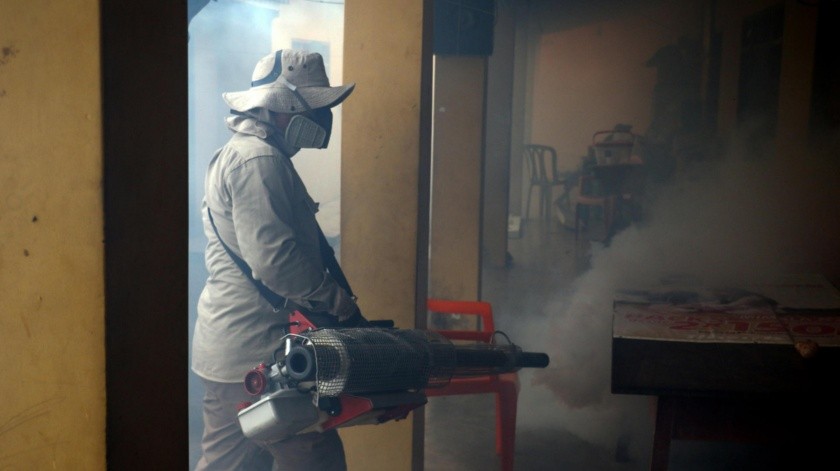 Comienza en Bolivia una campaña de fumigación y limpieza para contener la epidemia de dengue(EFE)