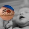 Muere un bebé de 13 días de nacido por complicaciones de chikunguña