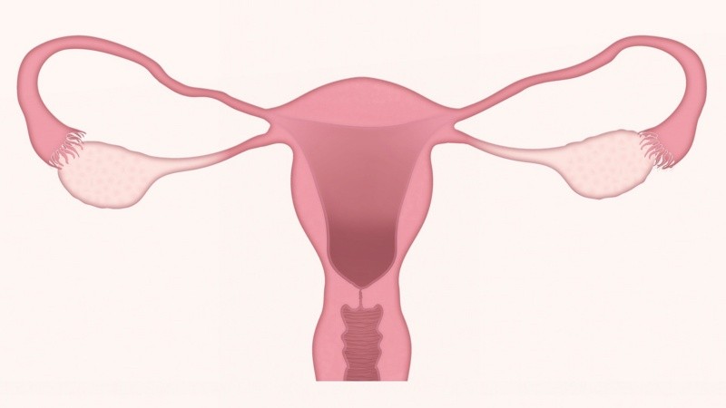 El bebé probablemente nacería por cesárea debido a los riesgos que presenta un parto vaginal, dicen los expertos.