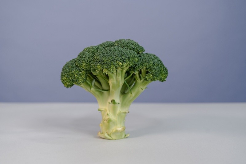 El brócoli es alto en hierro y antioxidantes. Archivo GH.