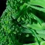 Brócoli con ajonjolí: ¿Cómo se prepara?