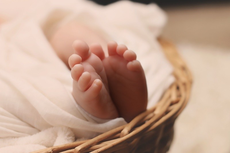 El bebé más grande del mundo al nacer solo duró vivo 11 horas. Pexels.  