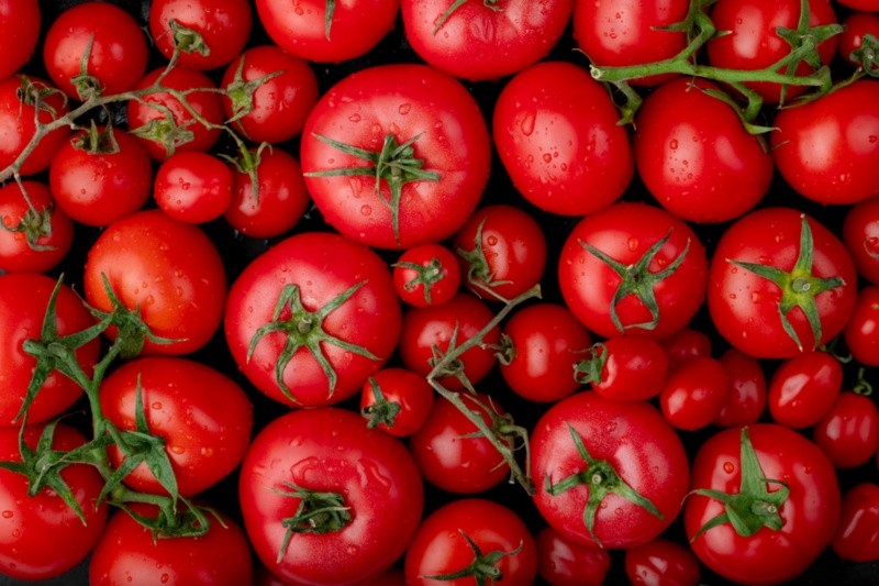  Los tomates tienen nutrientes de beneficio para la salud. Foto: Freepik