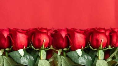 ¿Cómo conservar tus rosas de San Valentín por más tiempo?