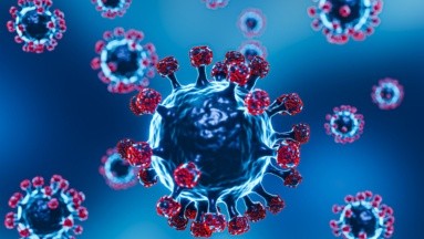 Inmunidad natural tras pasar el Covid se mantiene por meses y es efectiva contra variantes: Estudio