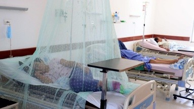 Bolivia reporta 8 mil 700 casos de dengue y 29 fallecidos a causa de esta enfermedad