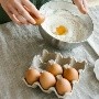 Salmonella: ¿Cómo se transmite a los huevos y cuáles son los peligros para la salud?