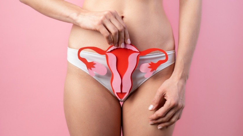 La enfermedad de Bowen vulvar se ha relacionado con el Virus del Papiloma Humano (VPH).(Freepik)