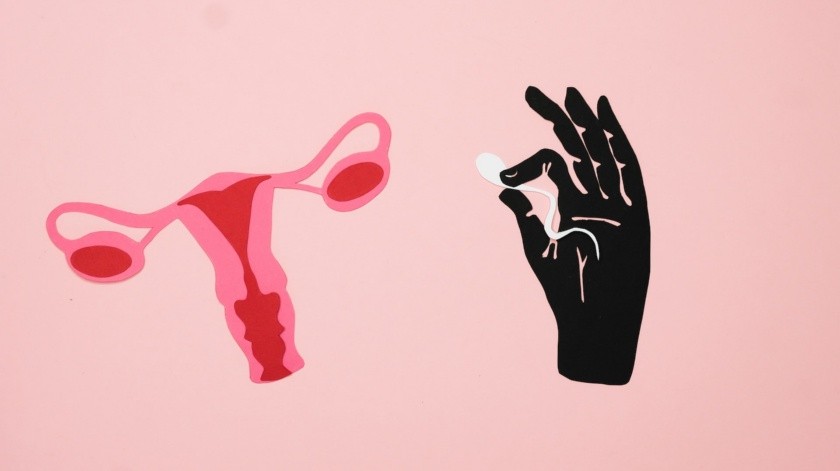 Una pareja de Texas realizó una demanda contra una clínica de fertilidad por uso inadecuado de esperma.(PEXELS)